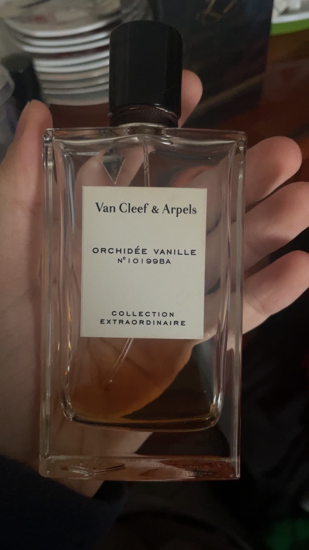 Orchidée vanille